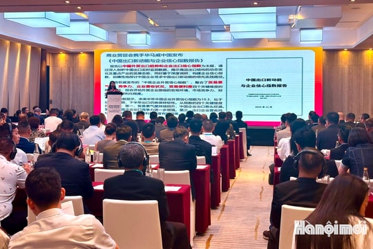 TP Hồ Chí Minh: Thúc đẩy hợp tác doanh nghiệp Việt - Trung vì sự phát triển bền vững