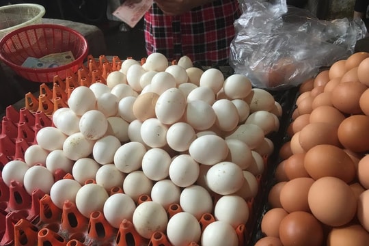 Hà Nội cho phép sử dụng địa danh “Khai Thái” để đăng ký nhãn hiệu tập thể Trứng gà Khai Thái