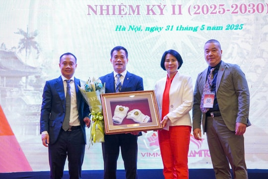 Võ thuật tổng hợp Việt Nam nỗ lực nâng tầm vị thế