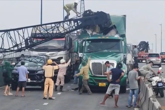 TP Hồ Chí Minh: Nhiều cây xanh ngã đổ giữa giông lốc, 1 người bị thương