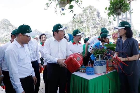 Ô nhiễm nhựa - thách thức môi trường mang tính toàn cầu