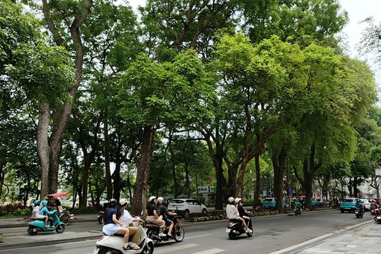 Hà Nội nắng nóng, đêm có mưa rào