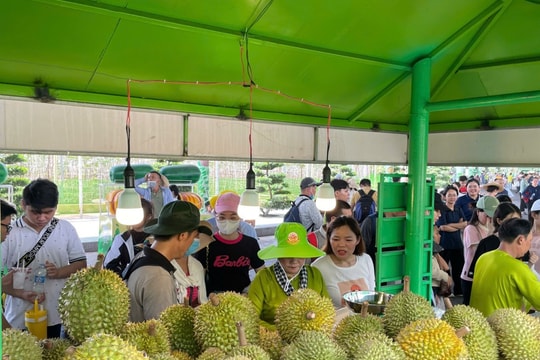 Đông nghịt du khách mua sắm tại Lễ hội trái cây Nam Bộ