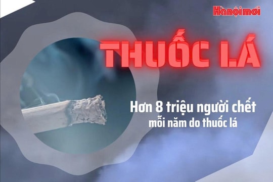 Những tác hại sâu rộng của thuốc lá
