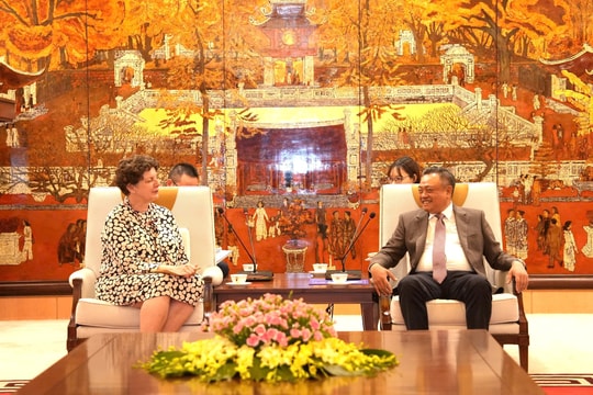 Hà Nội sẵn sàng tạo điều kiện cho các hoạt động hợp tác của Đại sứ quán Đức