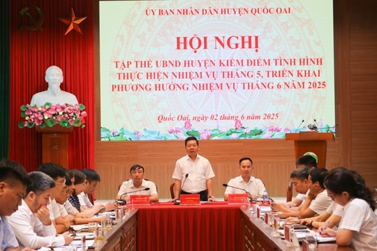 Quốc Oai đấu giá đất được hơn 461 tỷ đồng