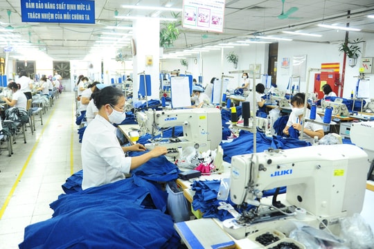 Xuất khẩu bền vững với tiêu chuẩn thị trường cao
