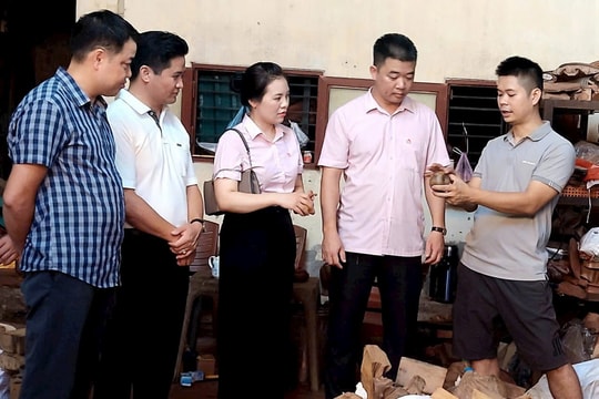 Thường Tín: Phát triển kinh tế từ nguồn vốn chính sách