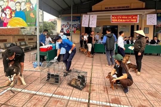 Chống loạn giá dịch vụ thú y: Cần có quy định minh bạch