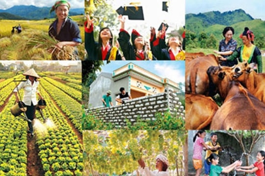 Thành lập Ban Chỉ đạo Trung ương các chương trình mục tiêu quốc gia giai đoạn 2021 - 2025