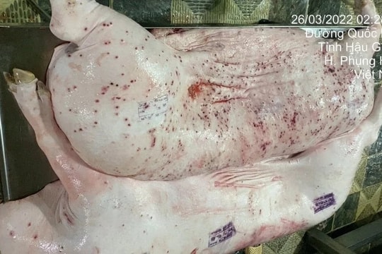 Đề nghị Bộ Công an vào cuộc vụ Công ty cổ phần Chăn nuôi C.P Việt Nam bị tố cáo bán thịt lợn bệnh