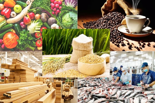 Xuất khẩu nông, lâm, thủy sản 5 tháng đạt hơn 28 tỷ USD