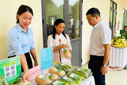Giải bài toán bền vững cho chuỗi liên kết nông sản tại Hà Nội