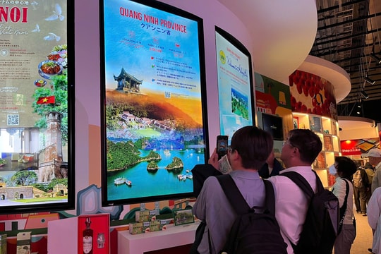 Tuần lễ Quảng Ninh tại EXPO 2025 thu hút hàng chục nghìn người tham dự