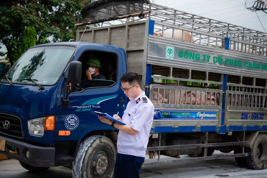 Chấn chỉnh quản lý giết mổ động vật, bảo đảm an toàn dịch bệnh