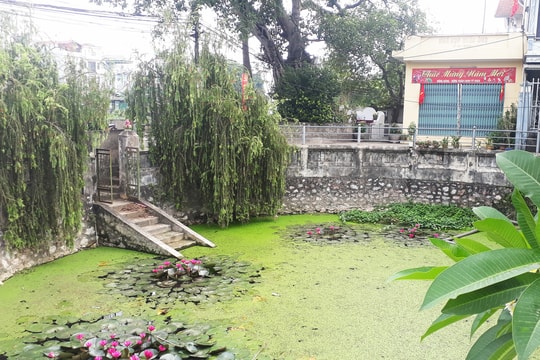 “Mắt làng” Tả Thanh Oai