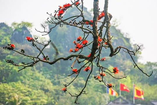 Sẵn lửa, lửa mới sinh...
