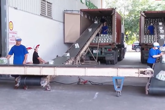 "Gạo Việt xanh phát thải thấp" lần đầu có mặt tại Nhật Bản