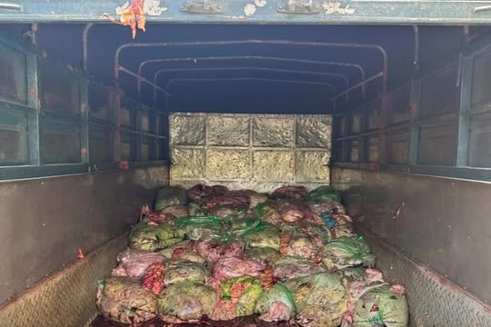 Nghệ An phát hiện xe tải chở 1,3 tấn nội tạng không rõ nguồn gốc
