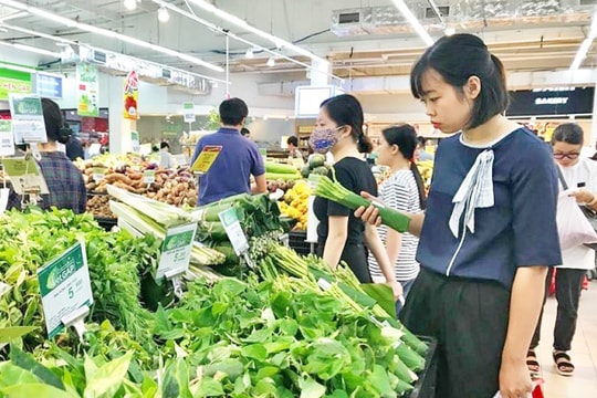 Hạn chế sản phẩm nhựa và túi ni lông: Cần hành lang pháp lý đủ mạnh