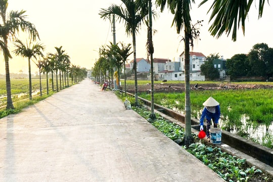 Dương Quang nâng cao các tiêu chí nông thôn mới