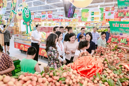 Khai trương, mở bán sản phẩm vải thiều Thanh Hà tại Hệ thống siêu thị GO!