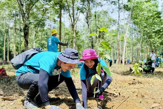 Trồng một mầm cây, gieo tương lai xanh