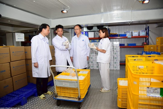 120.000 liều vắc xin bệnh dịch tả lợn châu Phi của Việt Nam xuất khẩu sang Indonesia