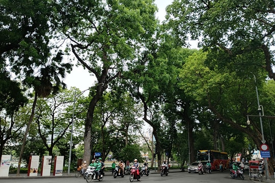 Hà Nội giảm nhiệt, chiều tối có mưa
