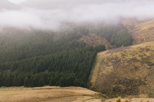 Chính phủ New Zealand bị kiện vì kế hoạch giảm phát thải