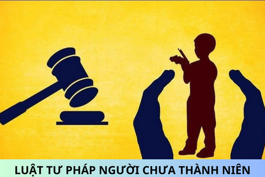 Ban hành kế hoạch thi hành Luật Tư pháp người chưa thành niên