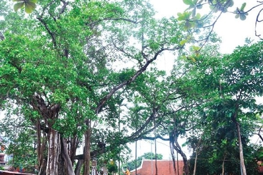 Hà Nội xếp hạng 9 di tích lịch sử - văn hóa cấp thành phố