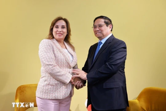 Thủ tướng Phạm Minh Chính hội kiến Tổng thống Peru Dina Boluarte