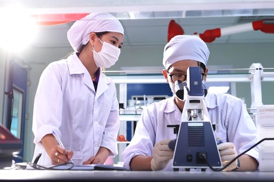 Hà Nội sắp tổ chức hội thảo thu hút nhân lực công nghệ cao