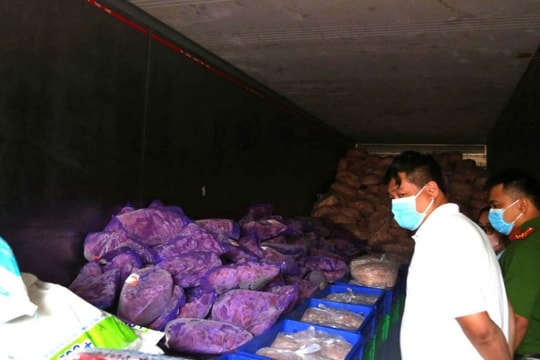 Thu giữ 11 tấn thực phẩm "bẩn" tuồn vào thị trường