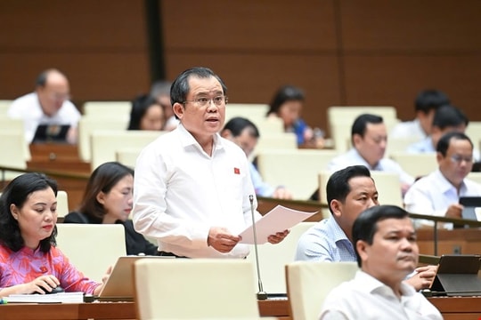 Tăng xử phạt vi phạm hành chính cần chú ý đến thu nhập trung bình của người dân