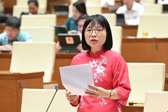 Đại biểu đề xuất giải pháp xử lý tang vật, phương tiện vi phạm hành chính