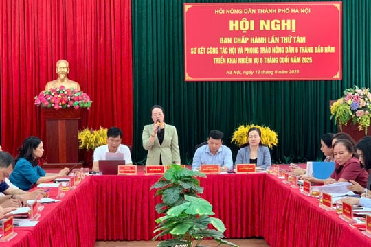 Nông dân Thủ đô vượt khó, thúc đẩy kinh tế tập thể, xây dựng nông thôn mới