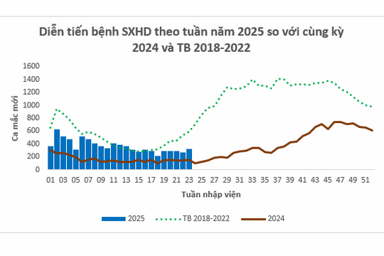 TP Hồ Chí Minh: Số ca sốt xuất huyết tăng hơn 131% so với cùng kỳ