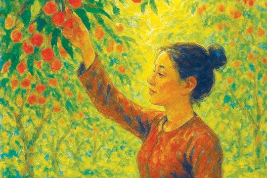 Mùa vải vườn ông