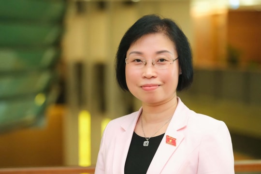 Chân dung tân Phó Chủ tịch HĐND thành phố Hà Nội Phạm Thị Thanh Mai
