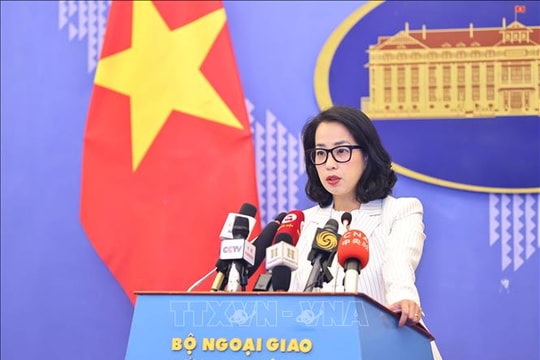 Việt Nam mong muốn nỗ lực đóng góp, nâng cao tiếng nói và vai trò của các nước đang phát triển