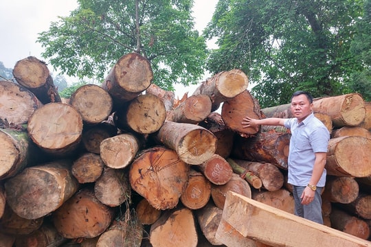 Nhà báo Hồng Nguyên - dấn thân và cống hiến