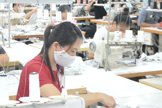 Hướng dẫn sắp xếp tổ chức bộ máy, nhân sự đối với công đoàn cấp tỉnh, công đoàn xã, phường