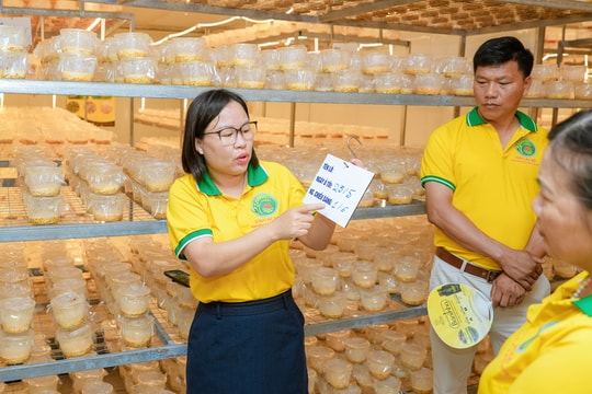 Hỗ trợ nông dân xây dựng thương hiệu, chuyển đổi số: Hướng đi tất yếu để phát triển bền vững