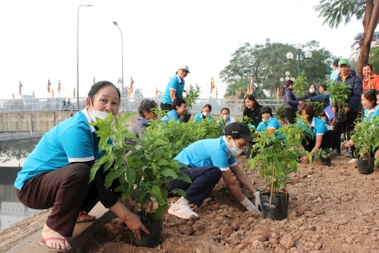 Thanh Trì trồng mới 1.230 cây xanh, cây ăn quả và hàng nghìn cây hoa các loại