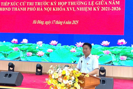 Cử tri Hà Đông kiến nghị vấn đề liên quan đến đất dịch vụ