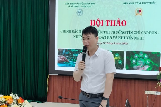 Chính sách phát triển thị trường tín chỉ carbon: Cơ hội và thách thức của Việt Nam trong quá trình chuyển đổi xanh