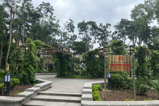“Sống xanh” giữa lòng Thủ đô