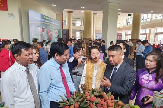 Đẩy mạnh tiêu thụ các loại quả vào vụ thu hoạch